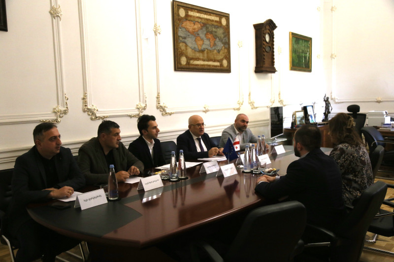 ლელა ჯანაშვილი საკონსტიტუციო სასამართლოს თავმჯდომარეს შეხვდა